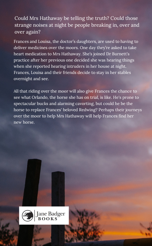 Josephine Pullein-Thompson: Ride to the Rescue (paperback)