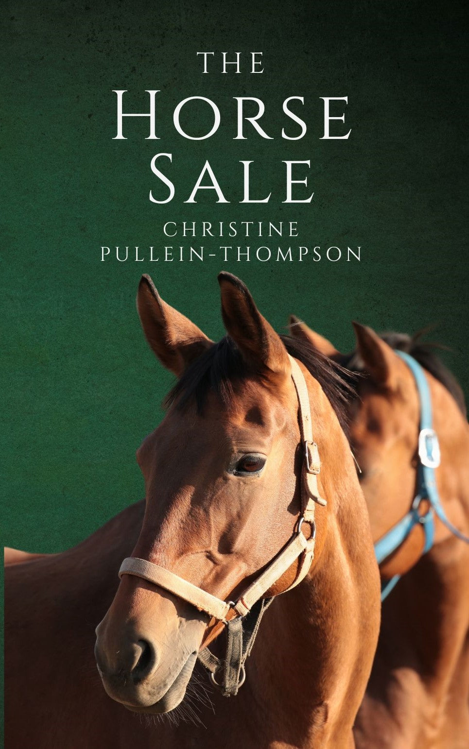 Christine Pullein-Thompson: The Horse Sale (paperback)