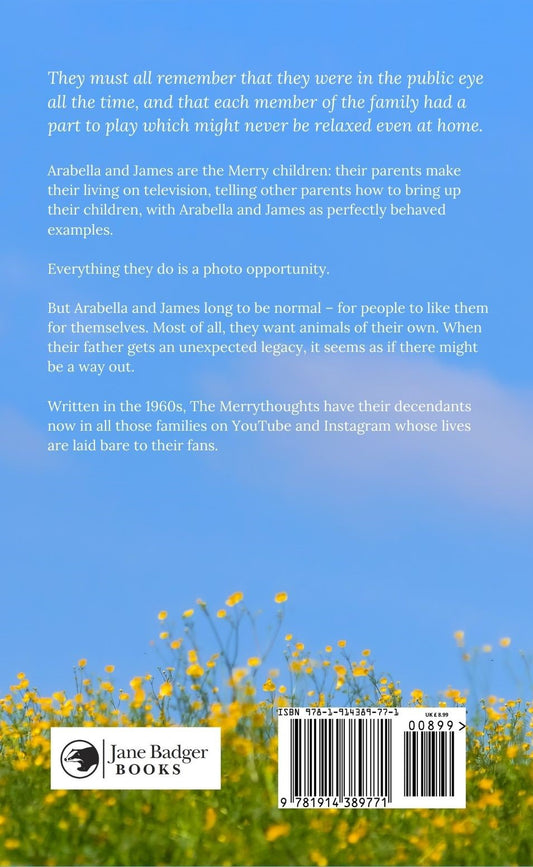 Patience McElwee: The Merrythoughts (paperback)