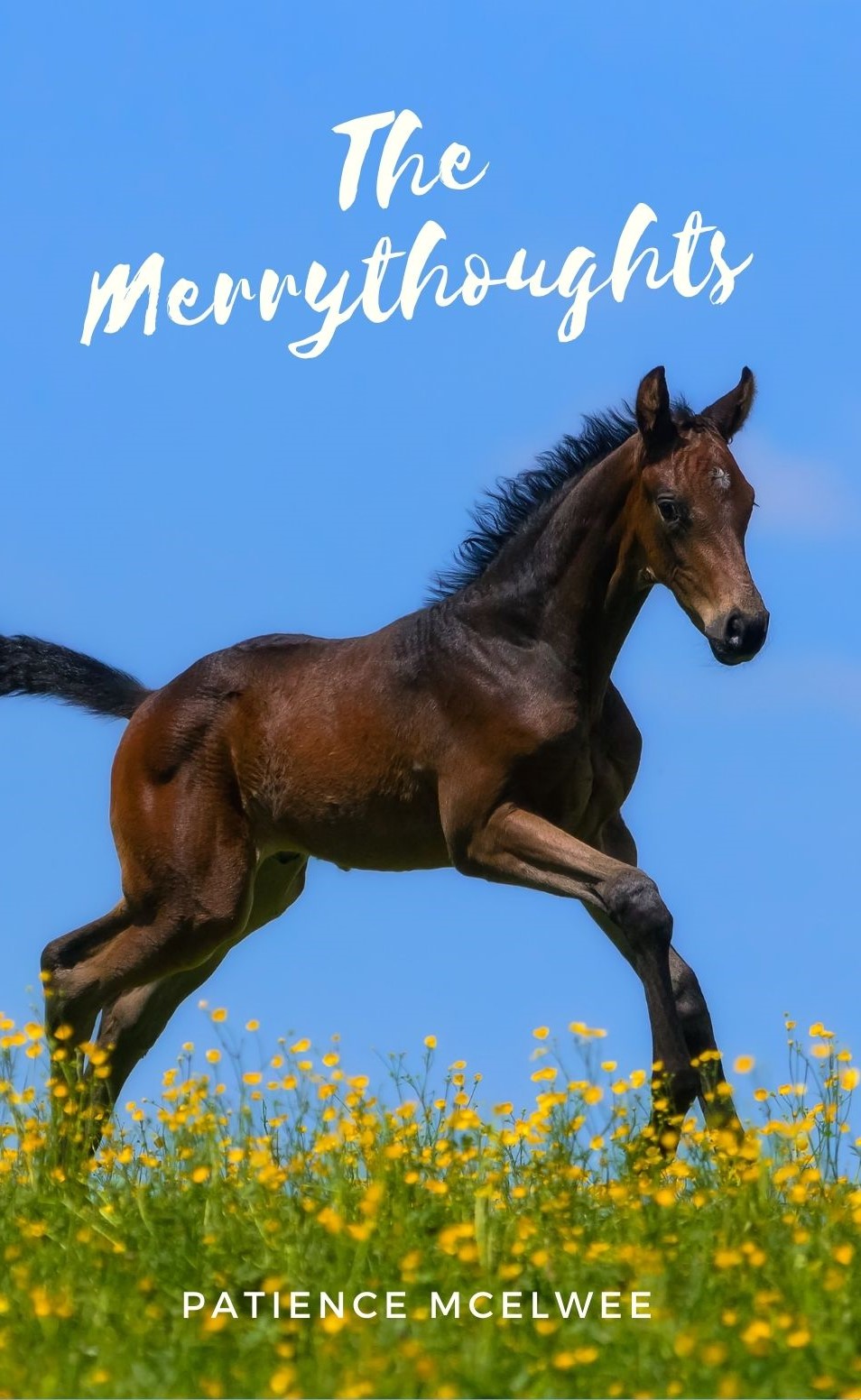 Patience McElwee: The Merrythoughts (paperback)