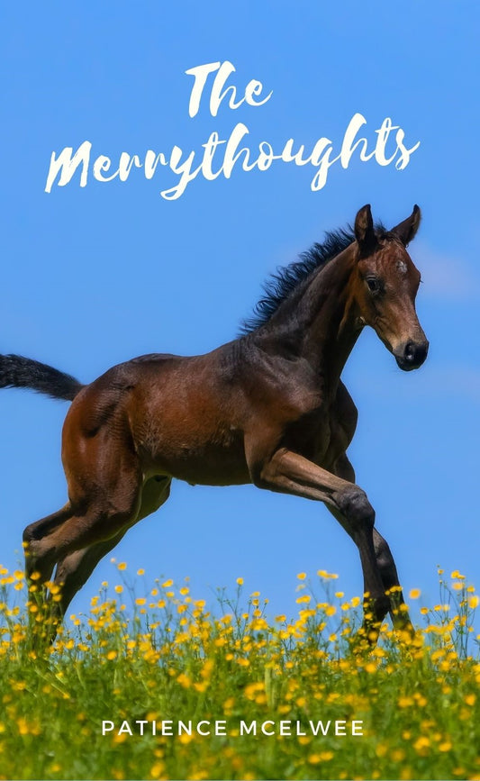 Patience McElwee: The Merrythoughts (paperback)