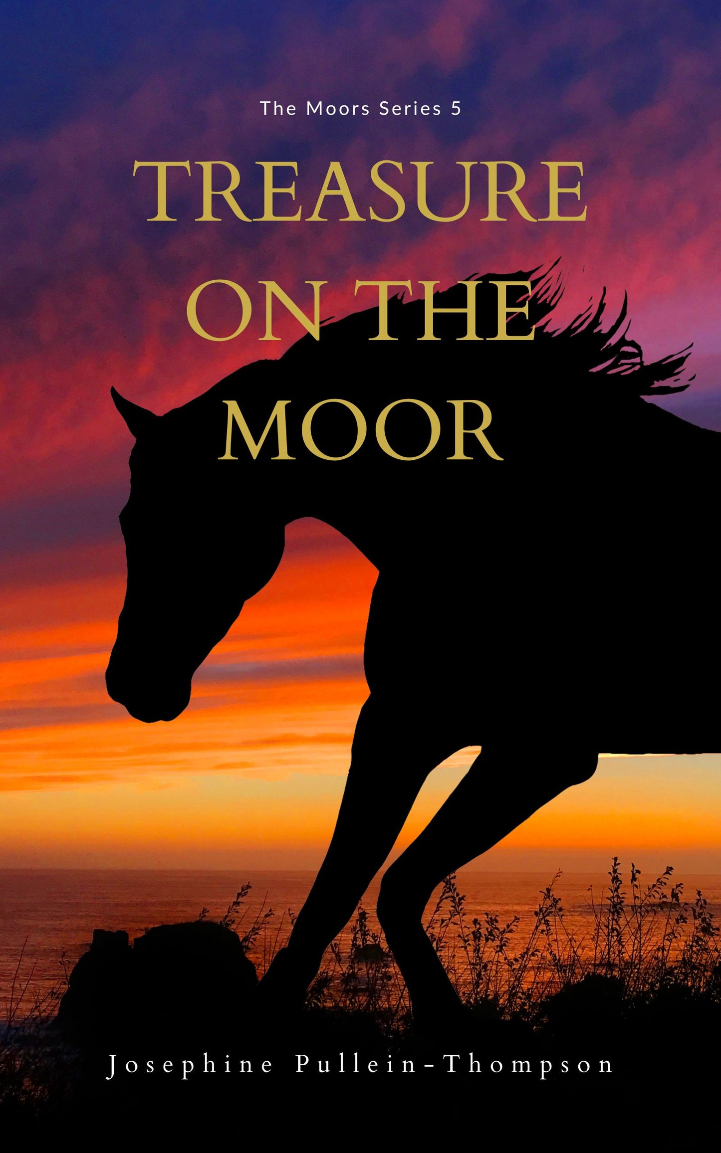 Josephine Pullein-Thompson: Treasure on the Moor (eBook - Moors 5)