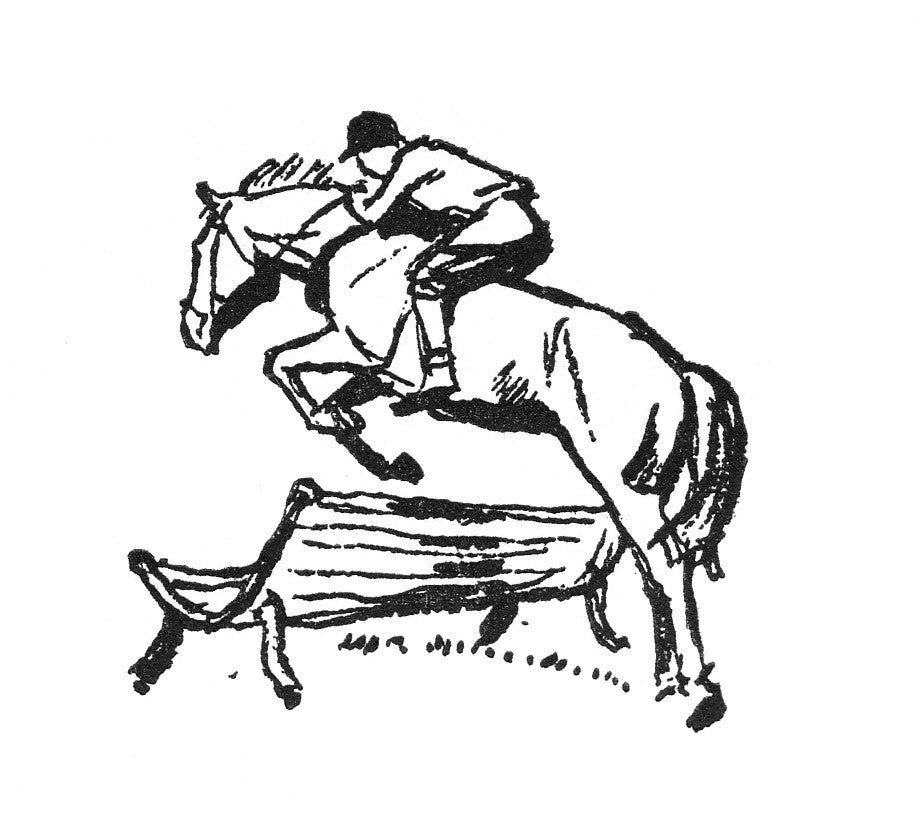 Josephine Pullein-Thompson: The Trick Jumpers (paperback)