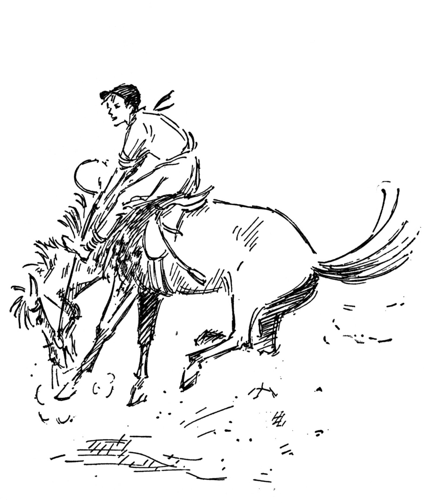 Josephine Pullein-Thompson: Prince among Ponies (paperback)