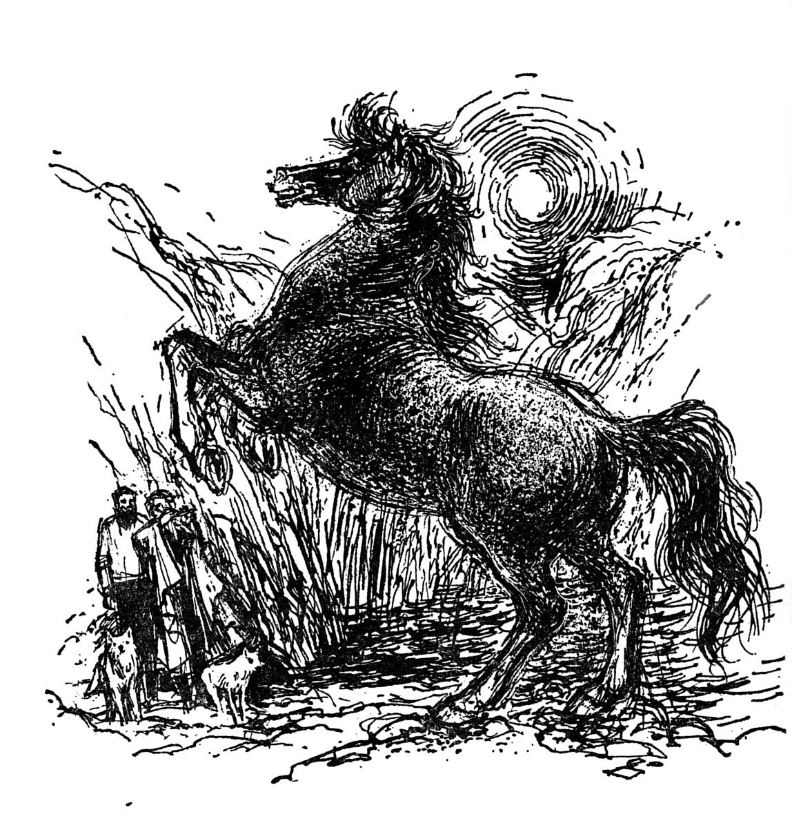 Patricia Leitch: The Horse from Black Loch (paperback)