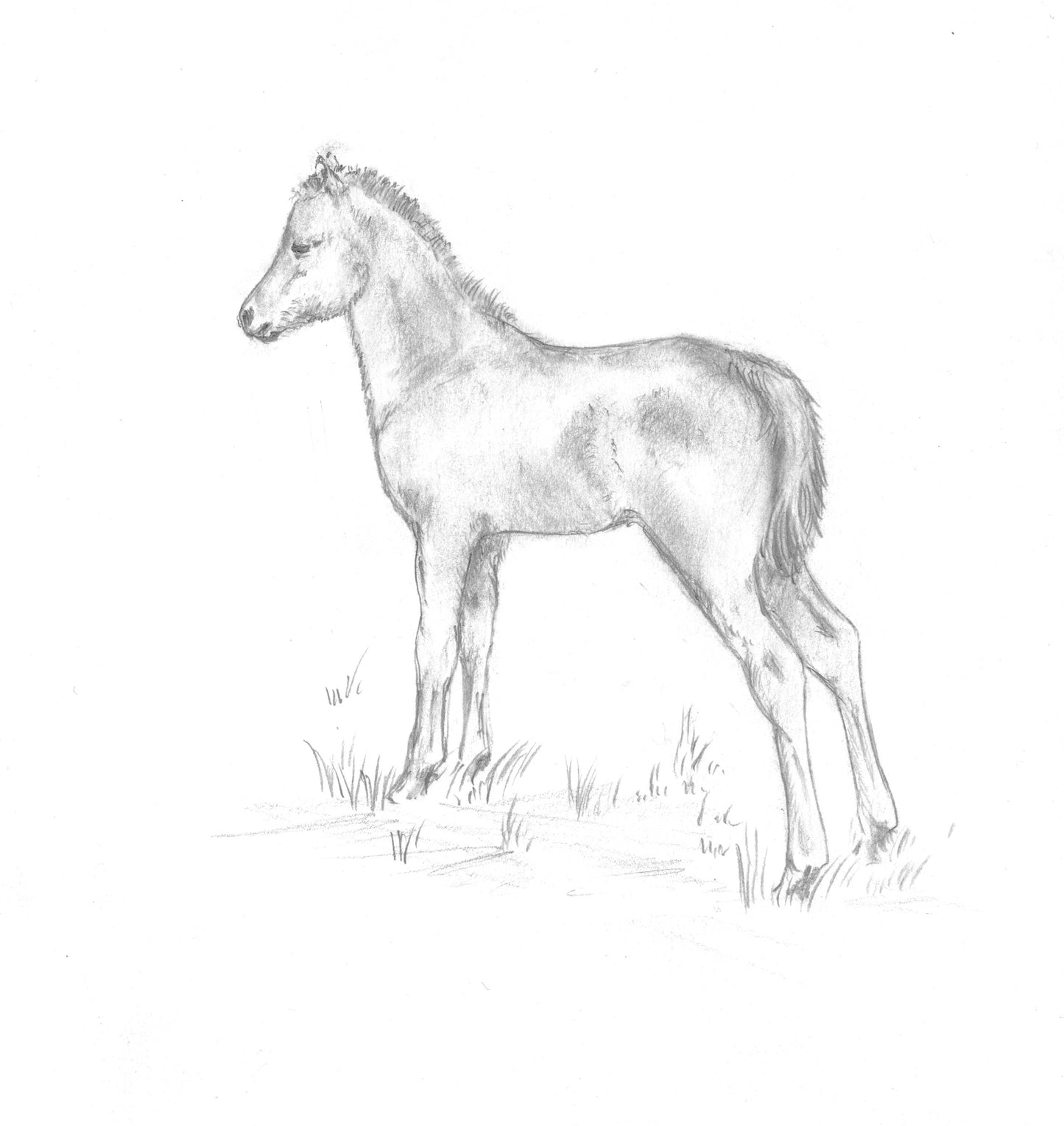 Victoria Eveleigh: Midnight on Lundy (paperback)