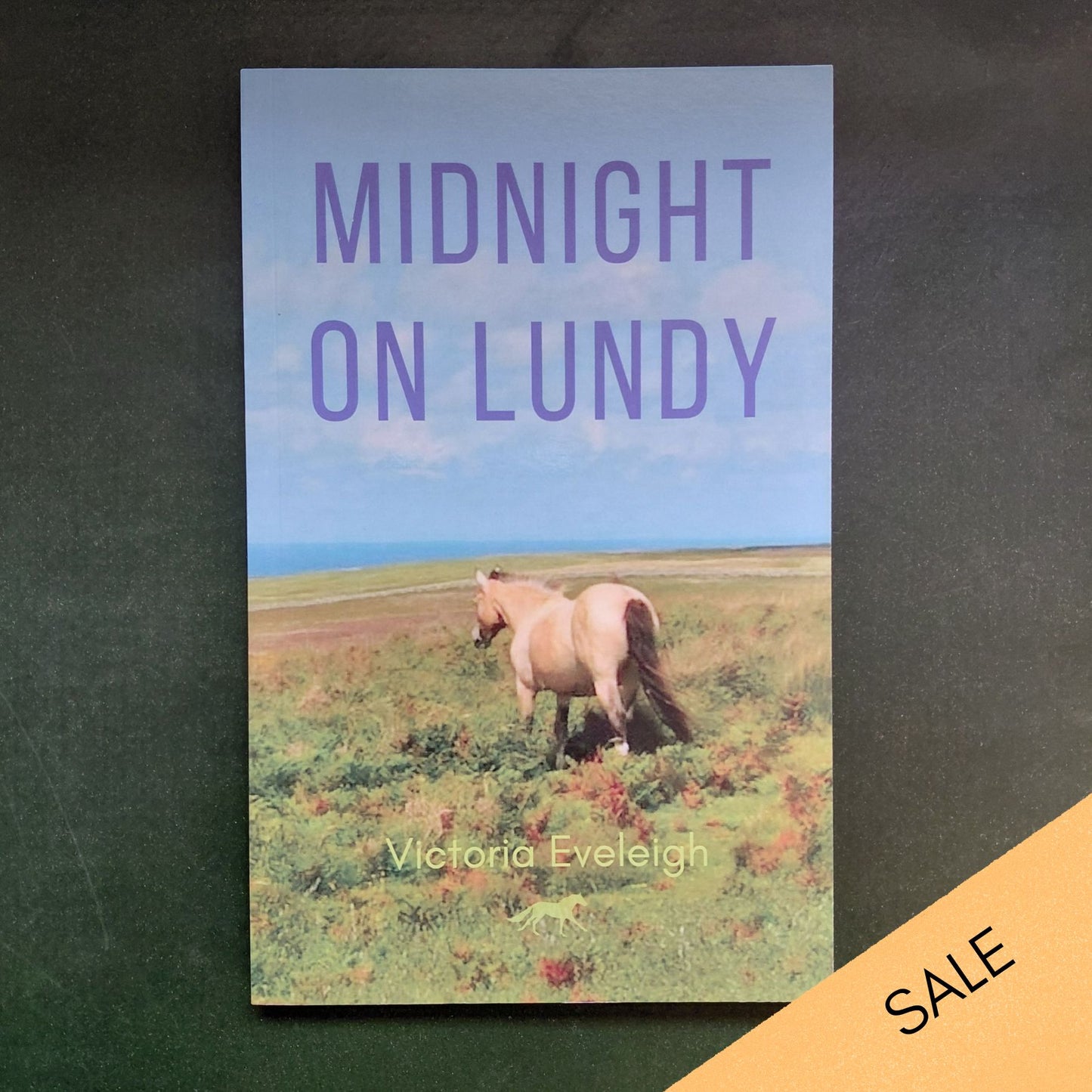 Victoria Eveleigh: Midnight on Lundy (paperback) SALE
