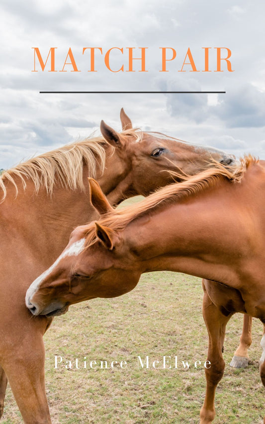 Patience McElwee: Match Pair (eBook)