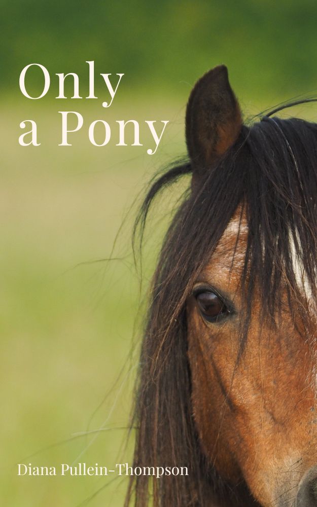 Diana Pullein-Thompson: Only a Pony (eBook - Augusta and Christina 4)