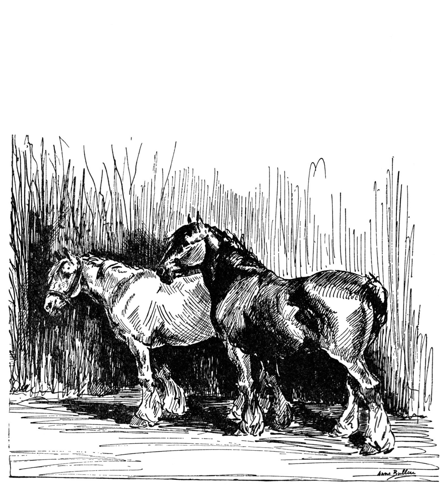 Joanna Cannan: Another Pony for Jean (paperback)