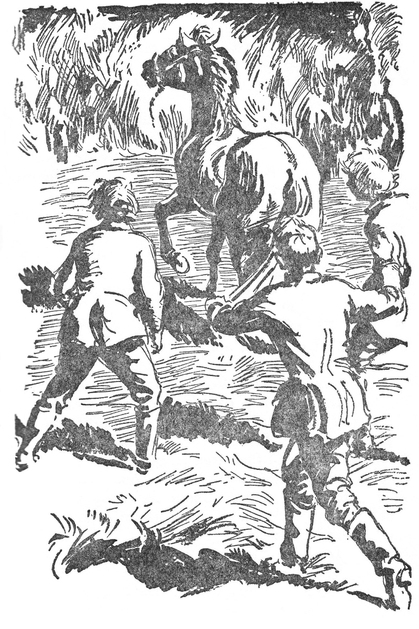 Josephine Pullein-Thompson: Pony Club Camp (paperback)