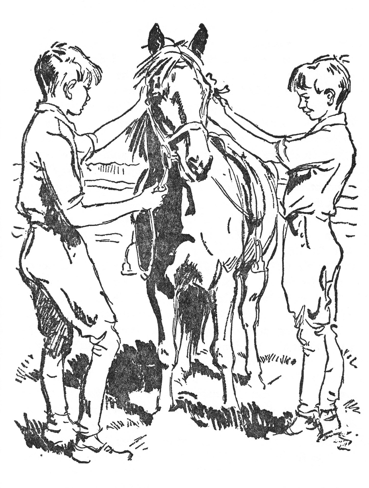 Josephine Pullein-Thompson: Pony Club Camp (paperback)