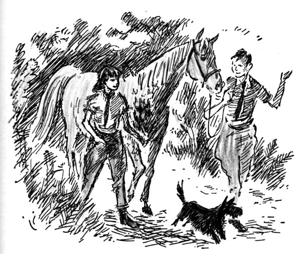 Josephine Pullein-Thompson: Prince among Ponies (paperback)