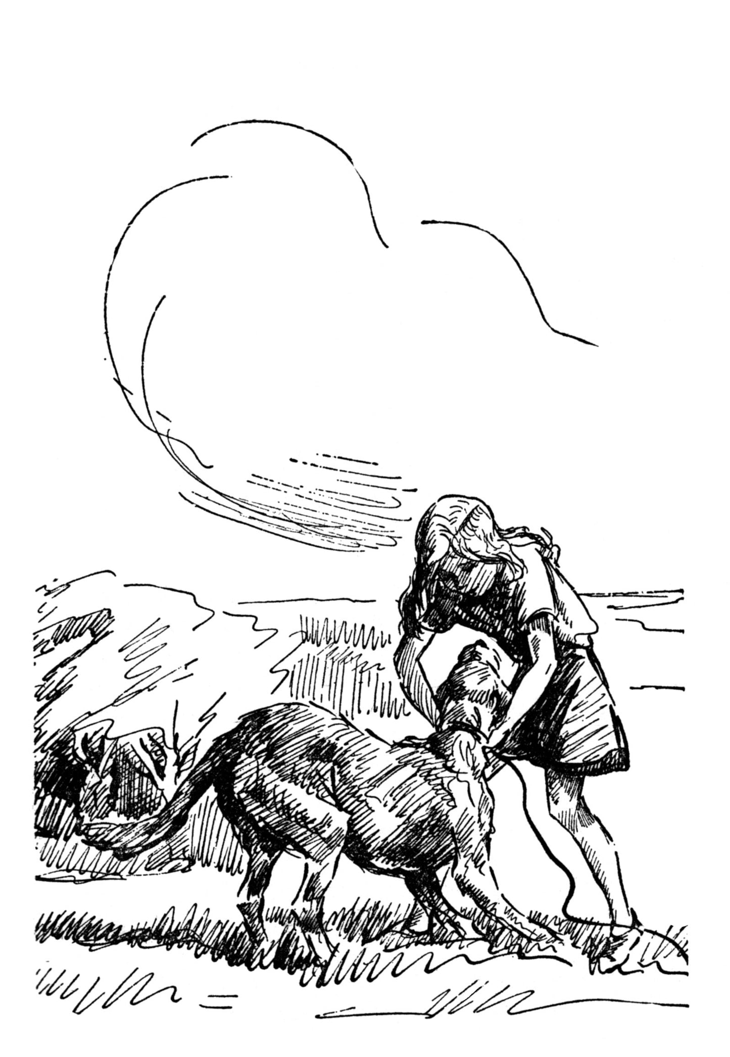 Diana Pullein-Thompson: Three Ponies and Shannan (paperback)