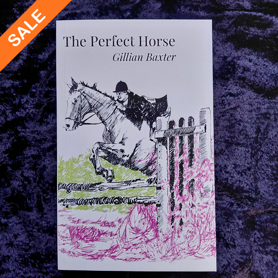 Gillian Baxter: The Perfect Horse (paperback) SALE