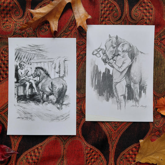 Pony Book Collection: 5 paperbacks (Cannan, Eveleigh, Ferguson, Badger)