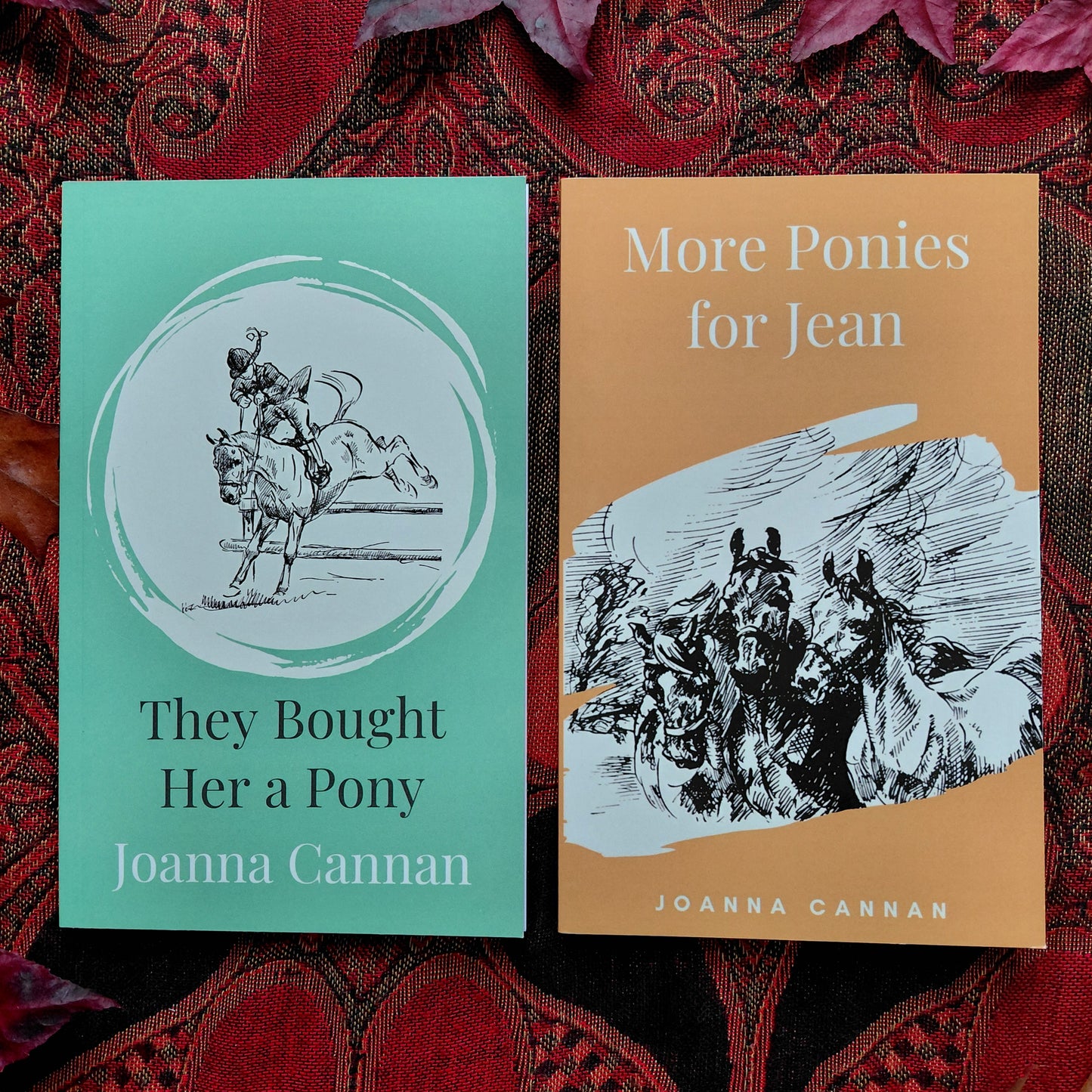 Joanna Cannan and Pullein-Thompson collection (4 paperbacks)