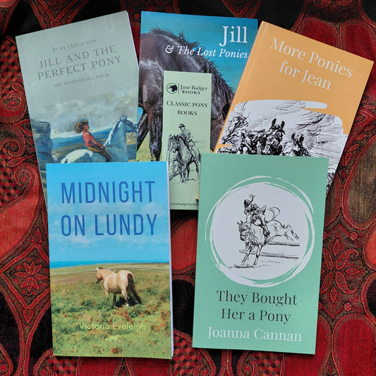 Pony Book Collection: 5 paperbacks (Cannan, Eveleigh, Ferguson, Badger)