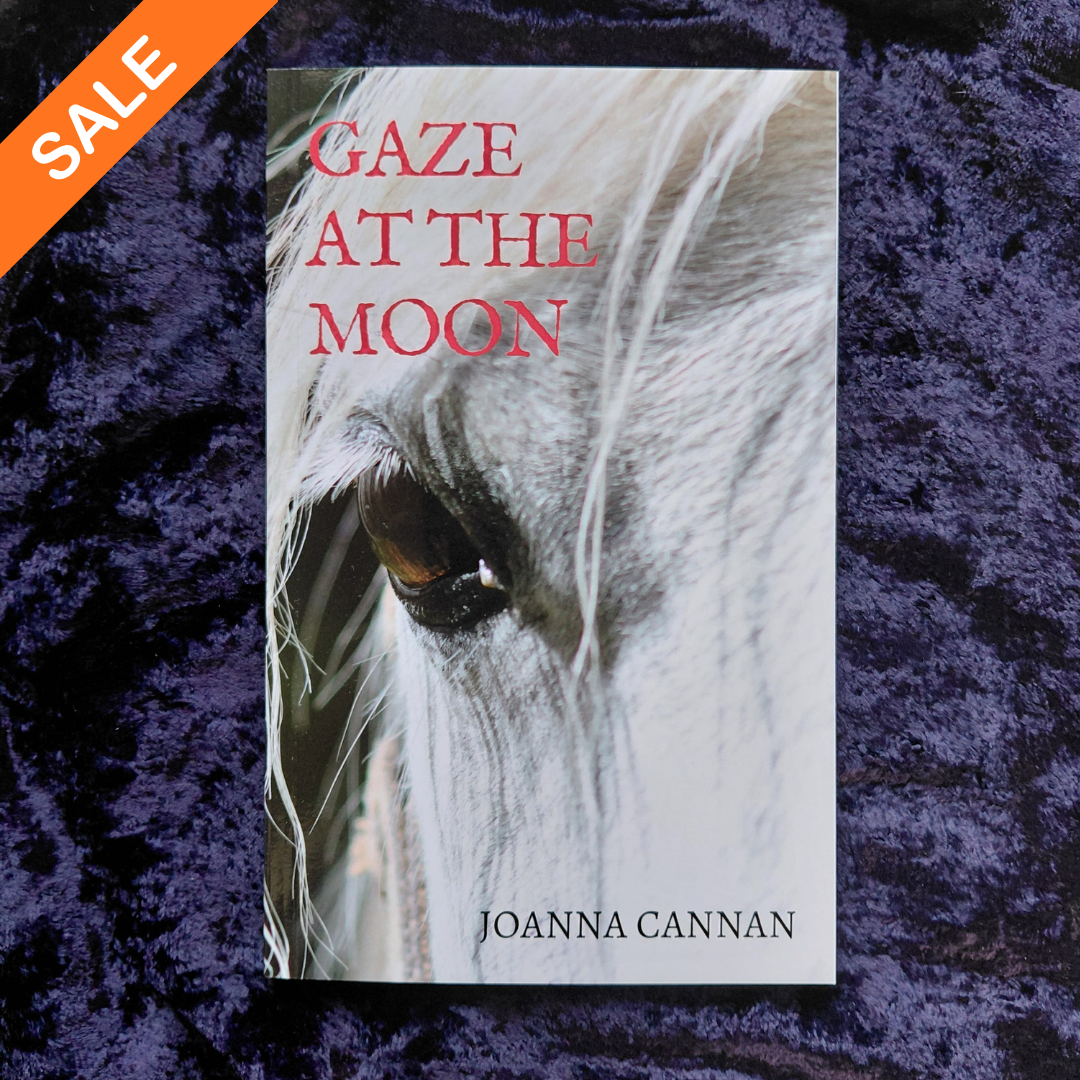 Joanna Cannan: Gaze at the Moon (paperback) SALE