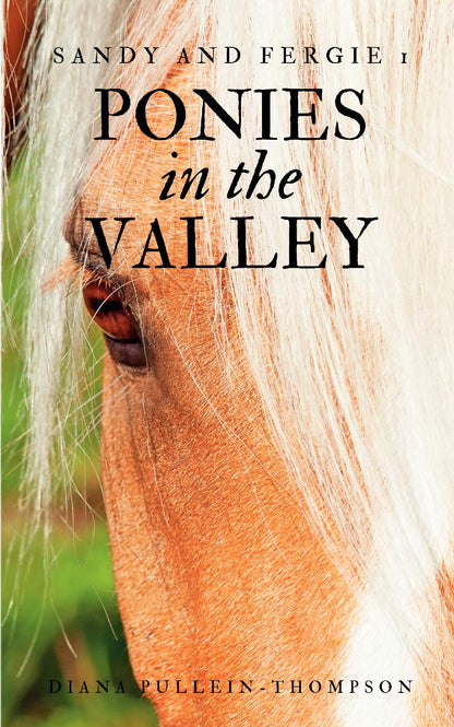 Diana Pullein-Thompson: Ponies in the Valley (paperback)