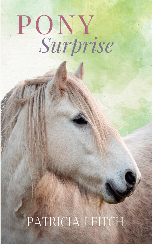 Patricia Leitch: Pony Surprise (paperback)