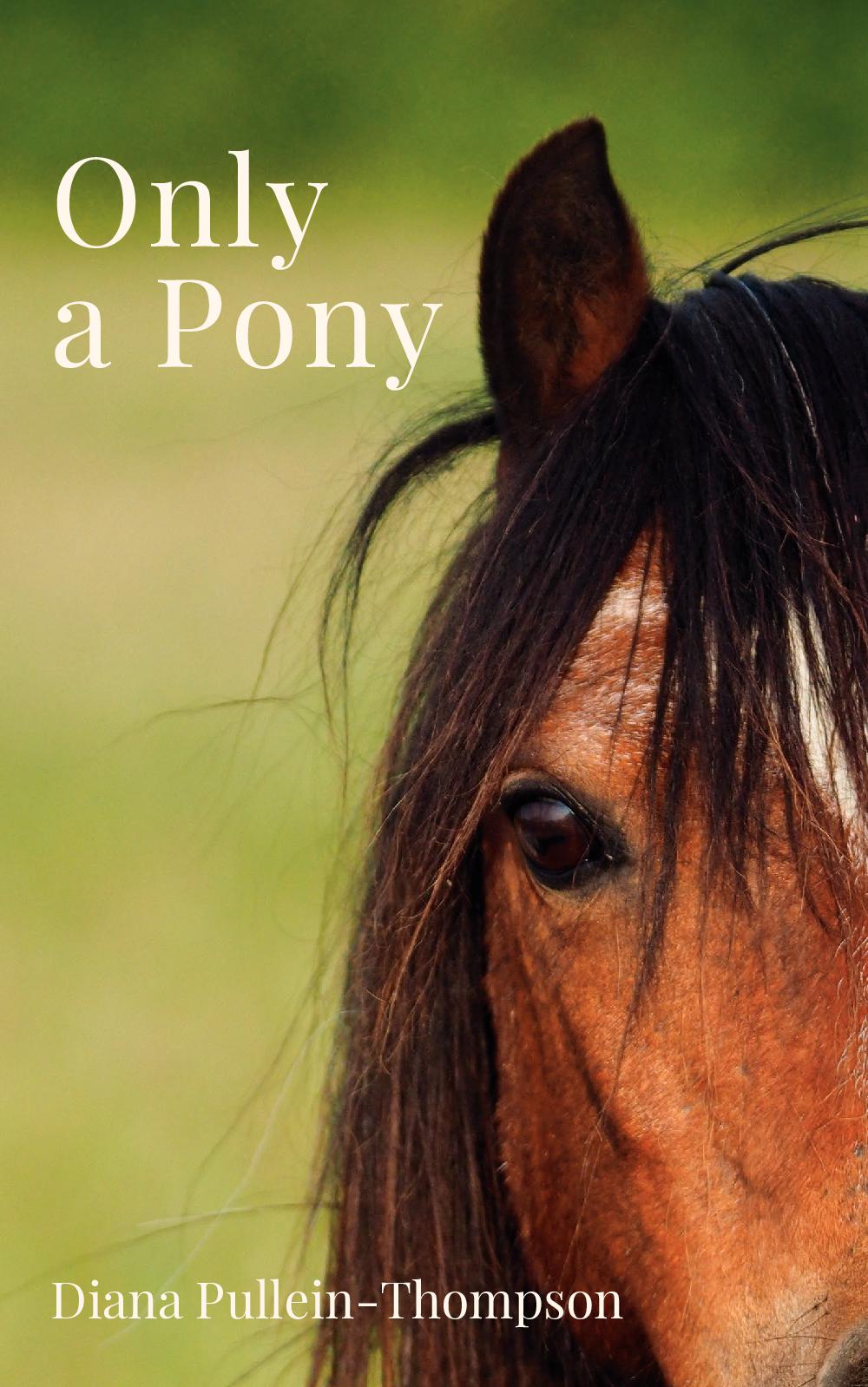 Diana Pullein-Thompson: Only a Pony (paperback)