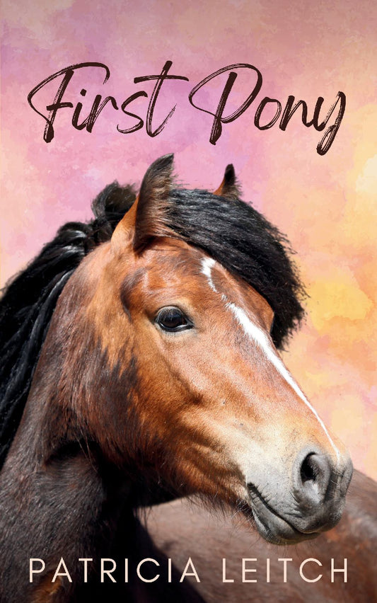 Patricia Leitch: First Pony (paperback)
