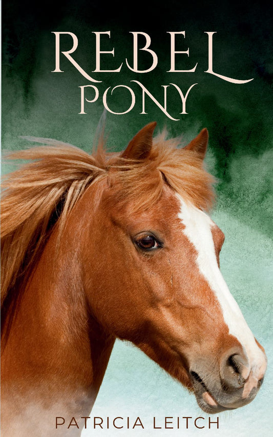 Patricia Leitch: Rebel Pony (paperback)