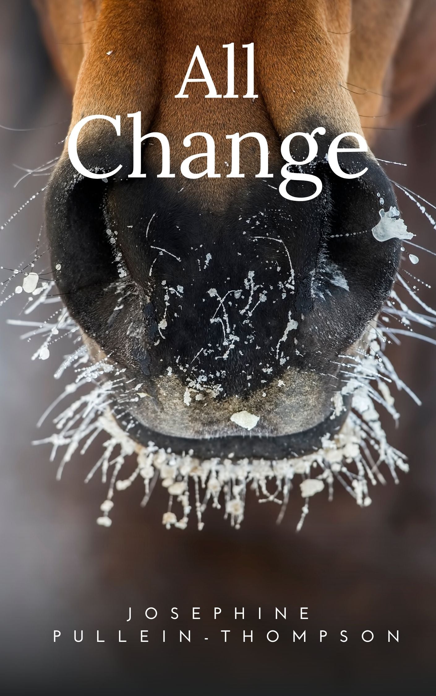 Josephine Pullein-Thompson: All Change (eBook)