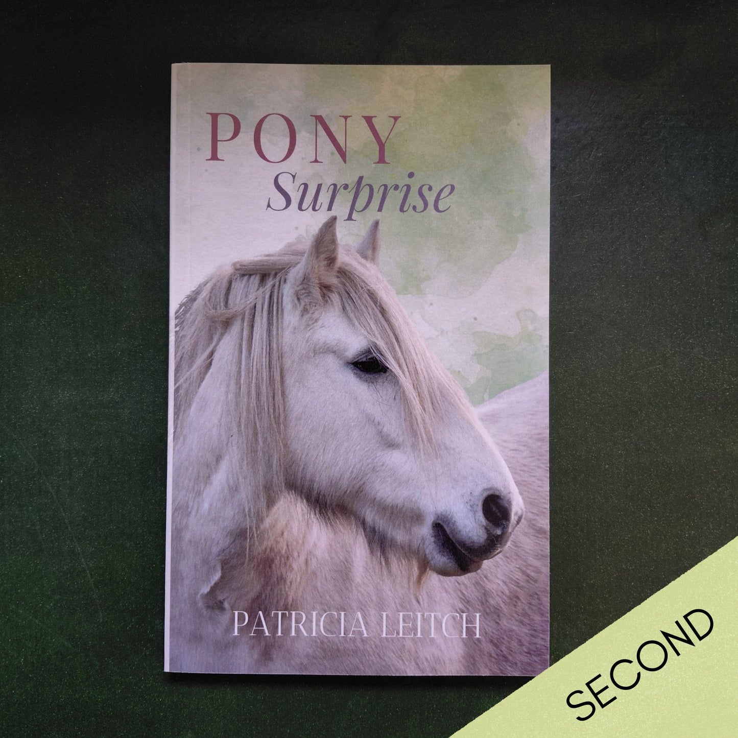 Patricia Leitch: Pony Surprise (paperback): SALE, SECOND