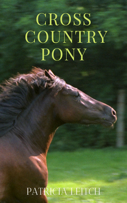 Patricia Leitch: Cross Country Pony (eBook)