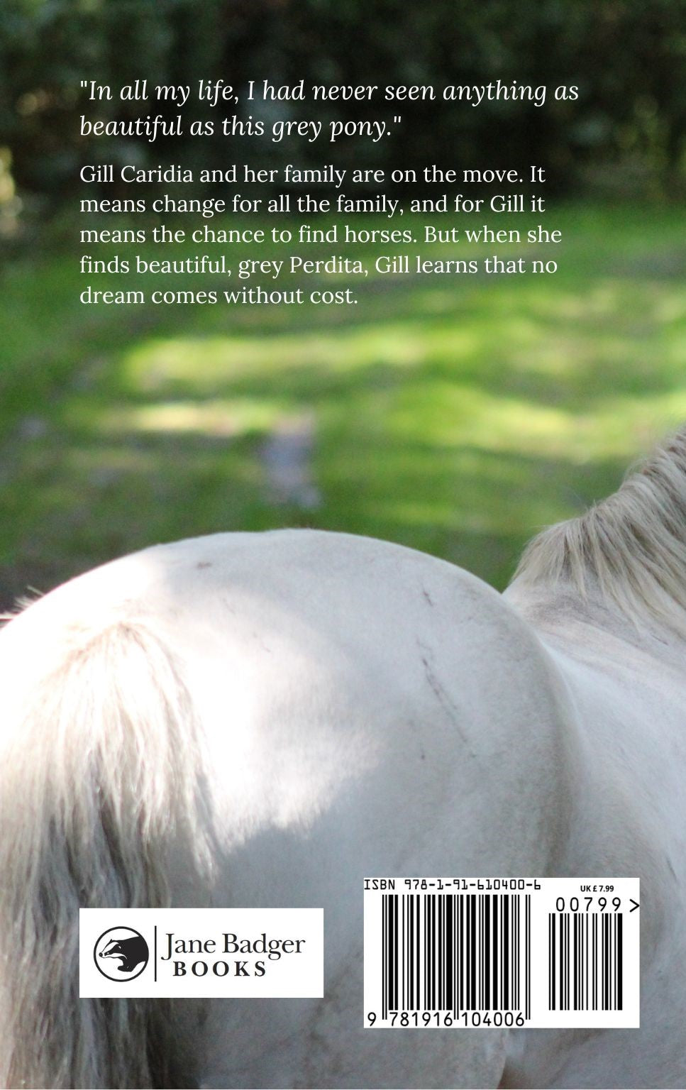 Patricia Leitch: Dream of Fair Horses (paperback)