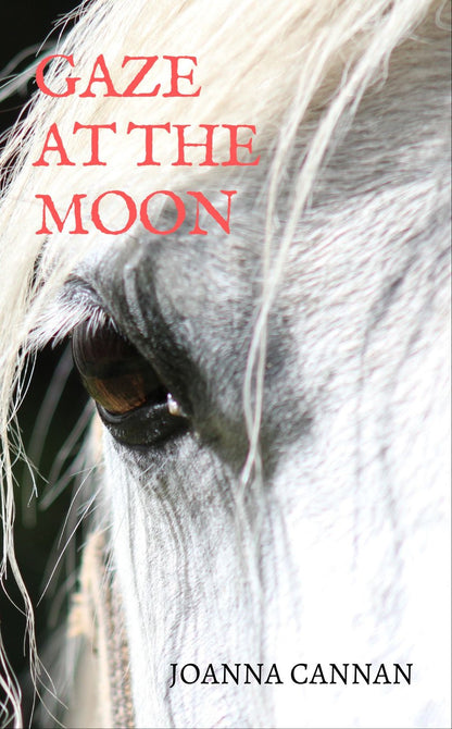 Joanna Cannan: Gaze at the Moon (paperback)