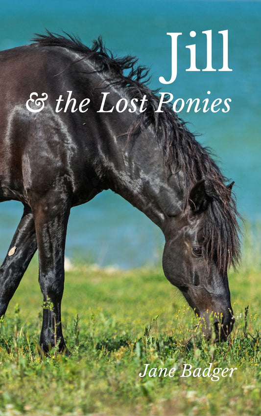 Jane Badger: Jill and the Lost Ponies (eBook)
