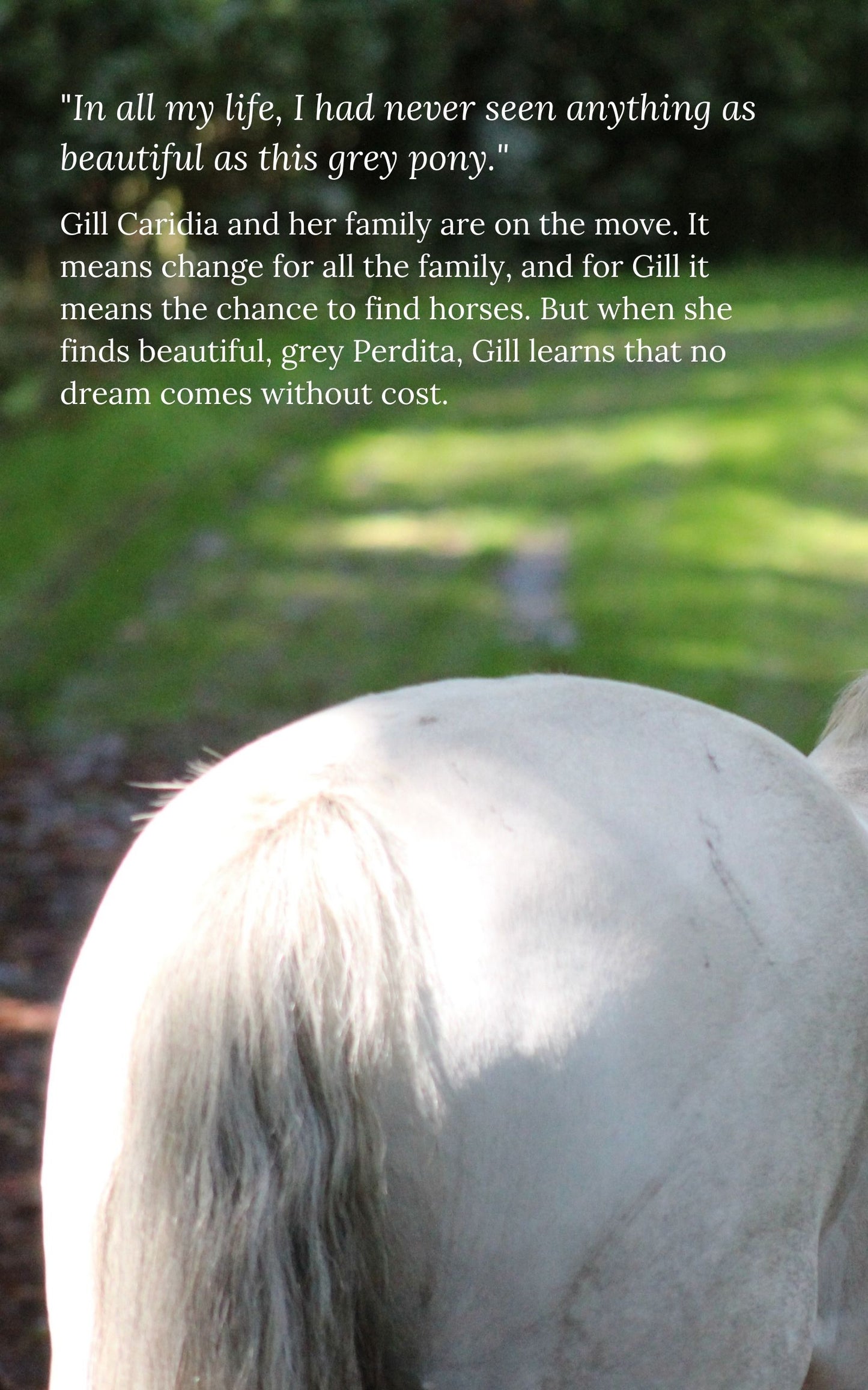 Patricia Leitch: Dream of Fair Horses (eBook)