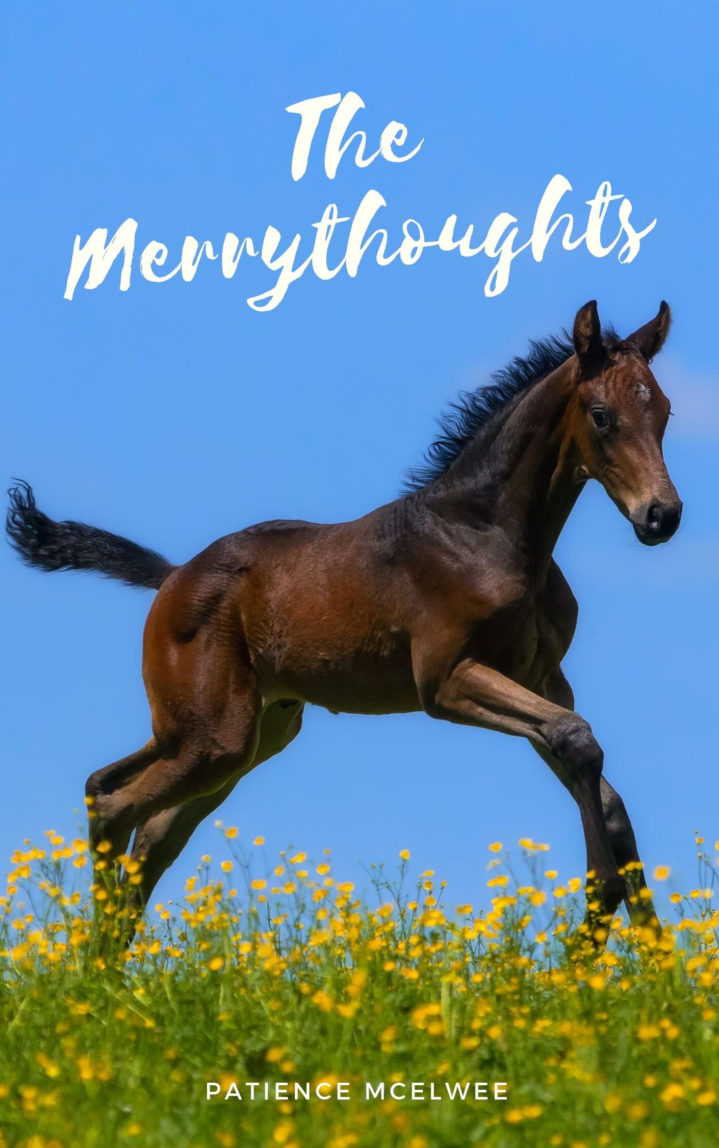 Patience McElwee: The Merrythoughts (eBook)