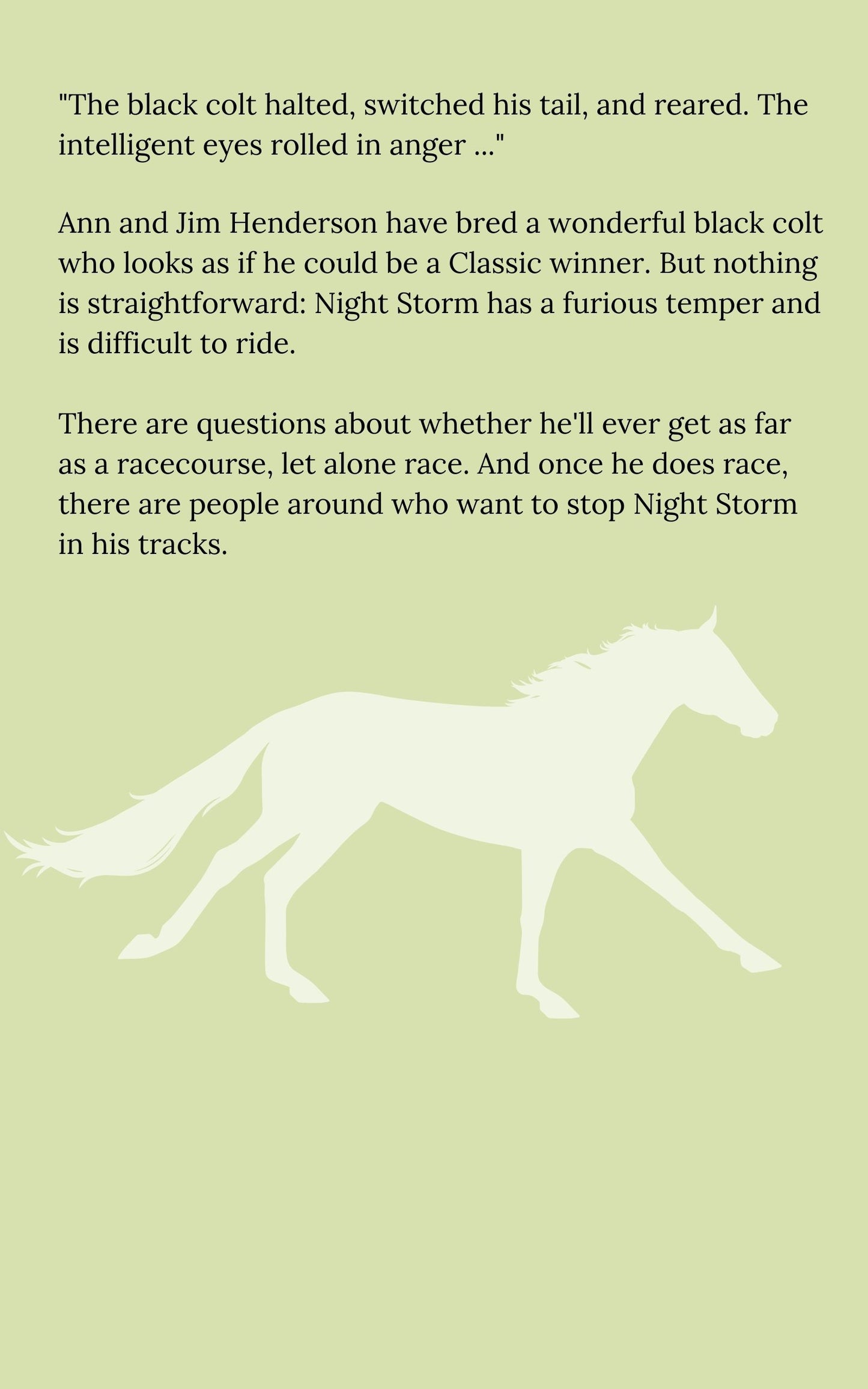 Hazel M Peel: Night Storm the Flat Racer (eBook)