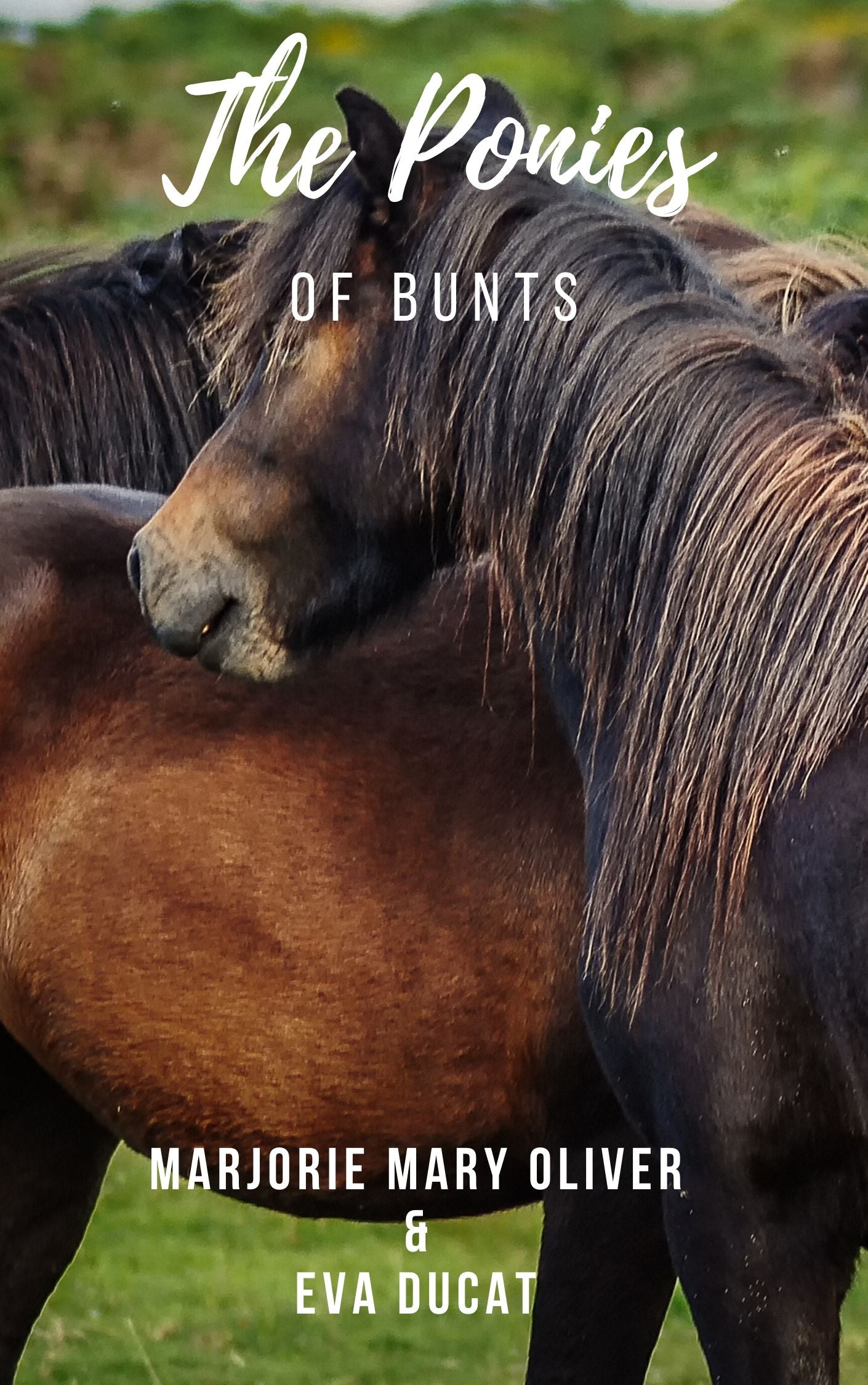 Marjorie Mary Oliver and Eva Ducat: The Ponies of Bunts (eBook)
