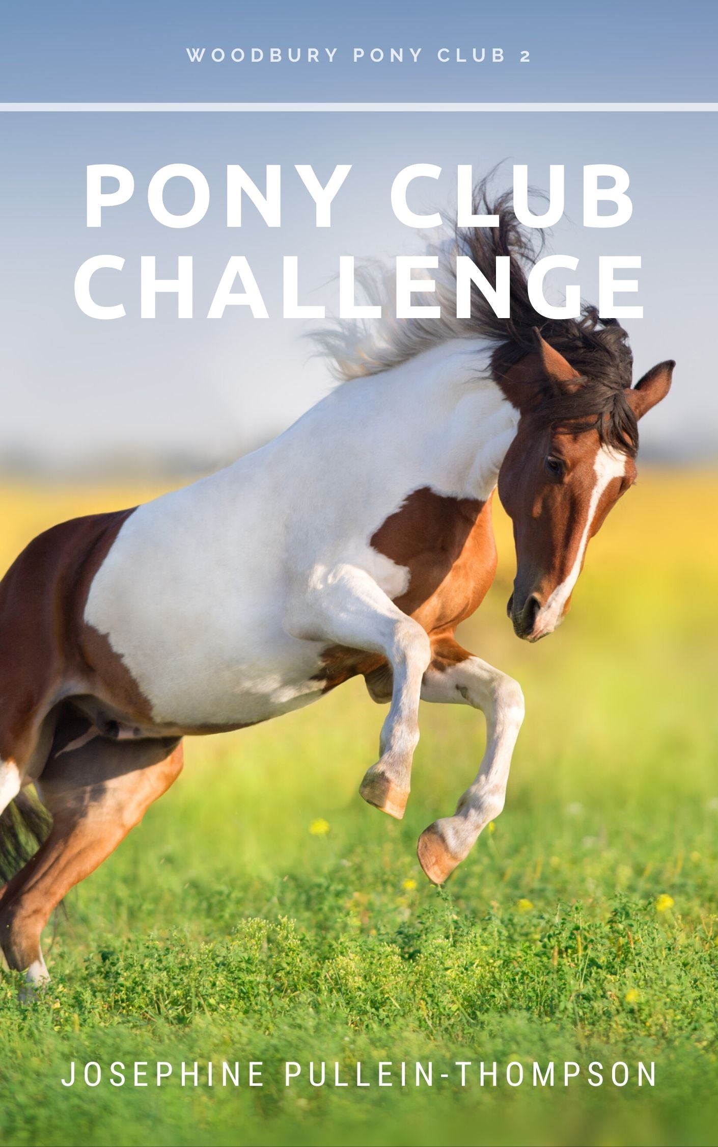Josephine Pullein-Thompson: Pony Club Challenge (eBook)