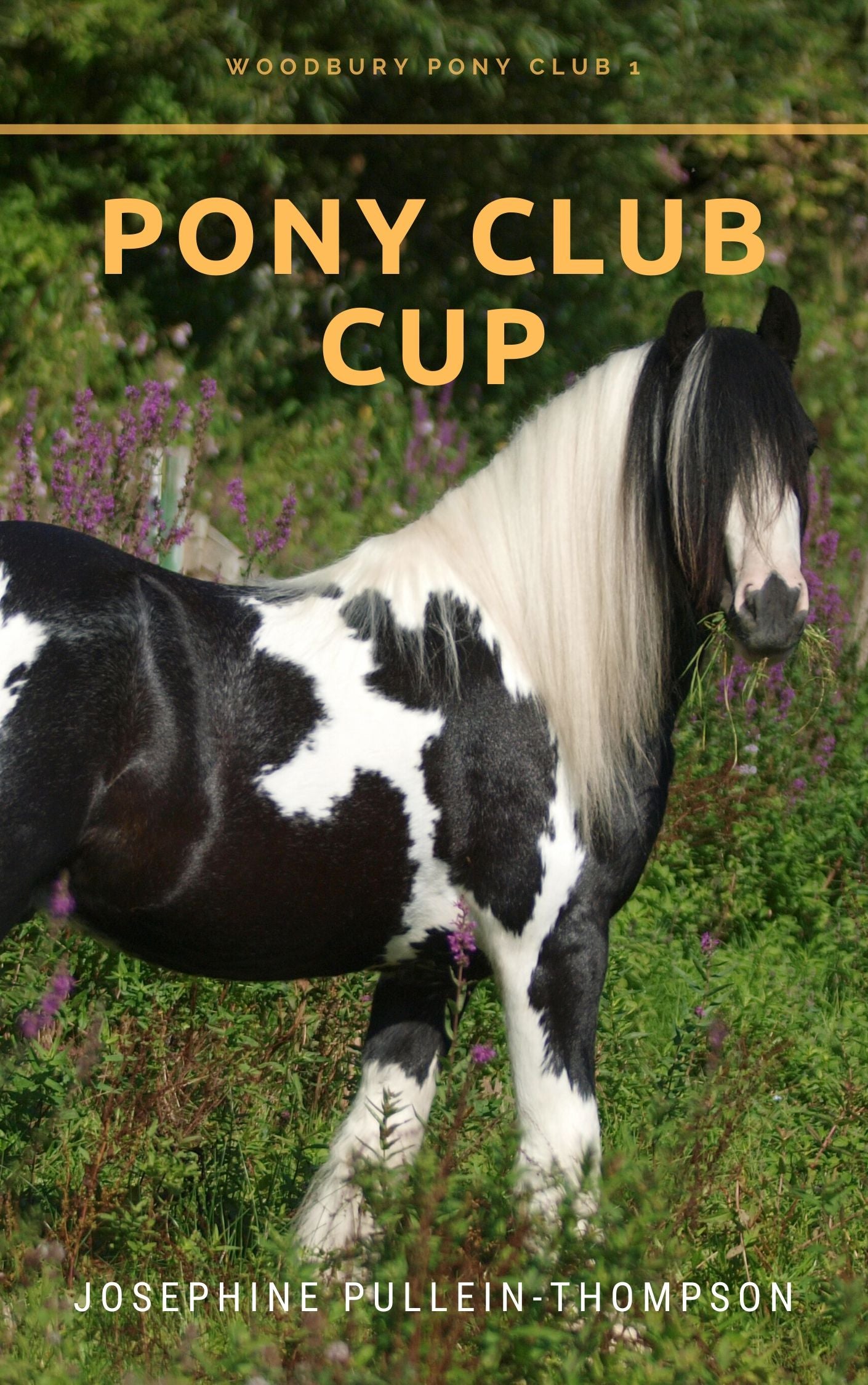 Josephine Pullein-Thompson: Pony Club Cup (eBook - Woodbury 1)