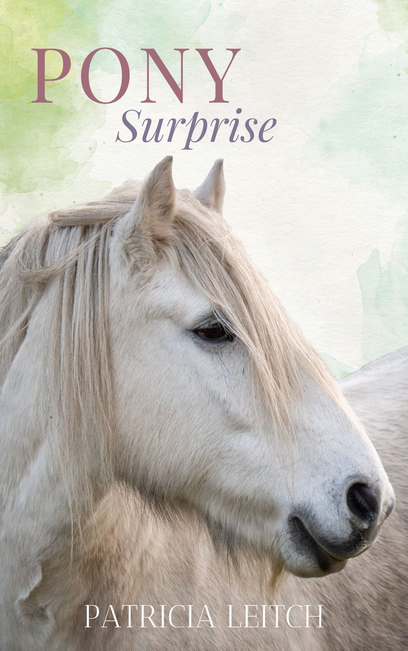 Patricia Leitch: Pony Surprise (eBook)