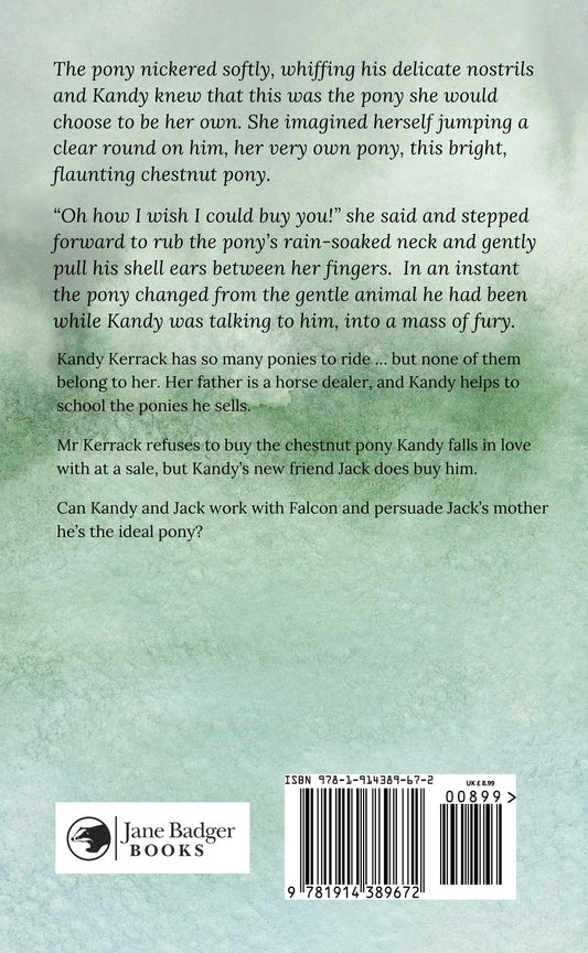Patricia Leitch: Rebel Pony (paperback)