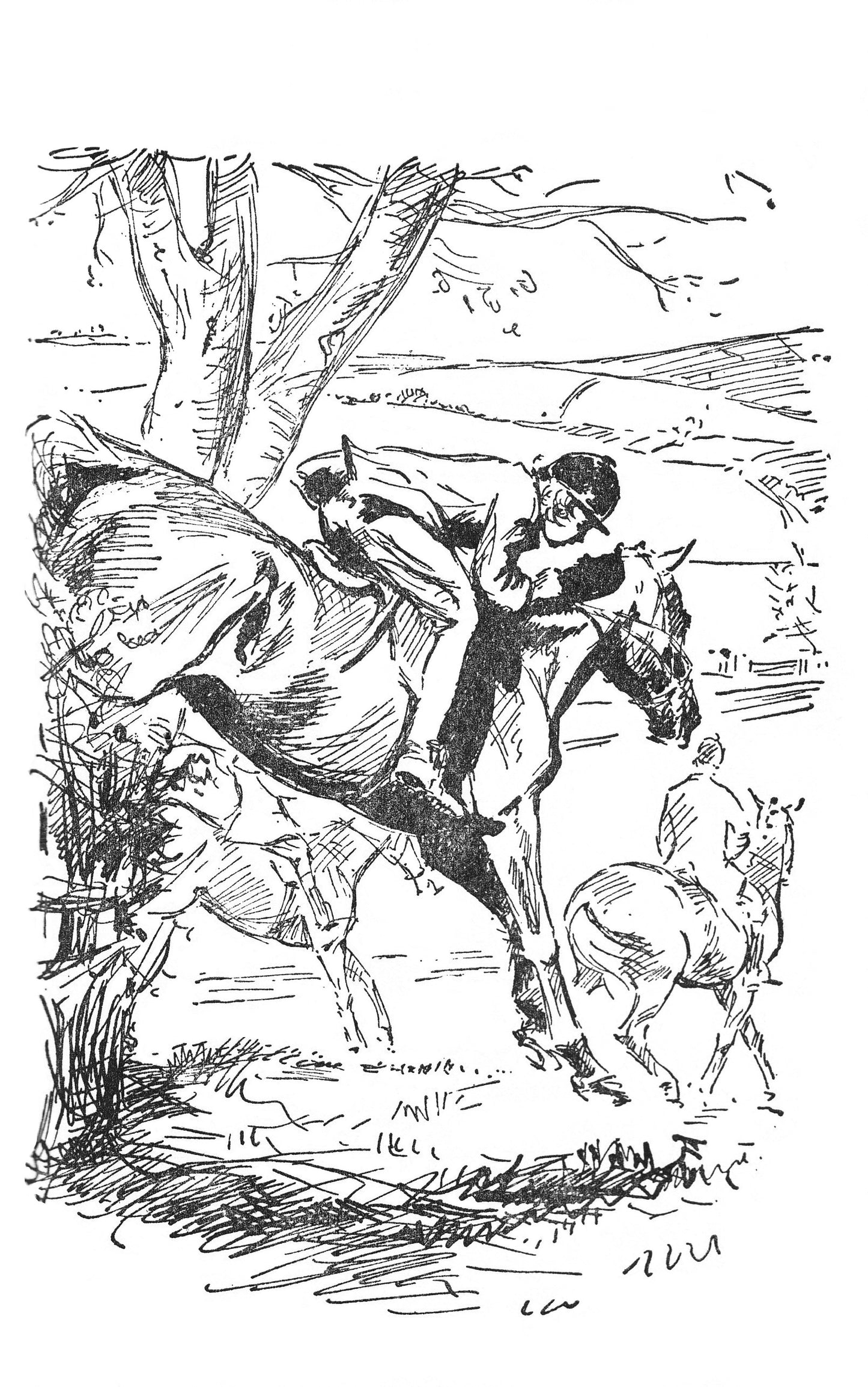 Diana Pullein-Thompson: A Pony for Sale (paperback)