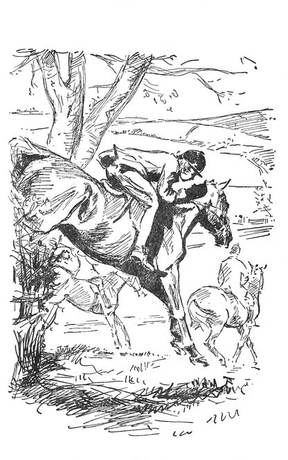 Diana Pullein-Thompson: A Pony for Sale (paperback)