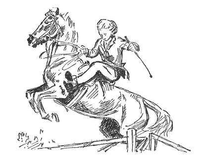 Diana Pullein-Thompson: A Pony for Sale (paperback)