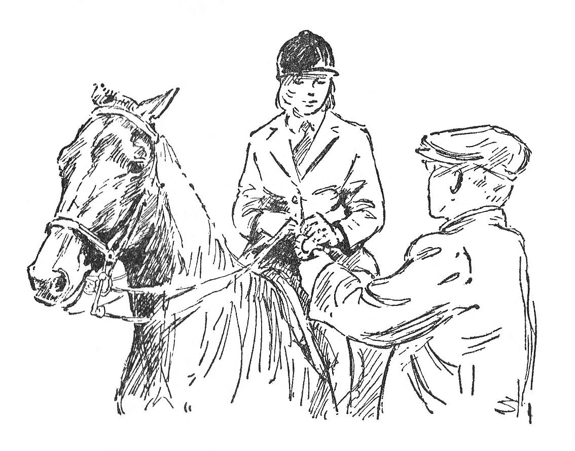 Diana Pullein-Thompson: A Pony for Sale (paperback)