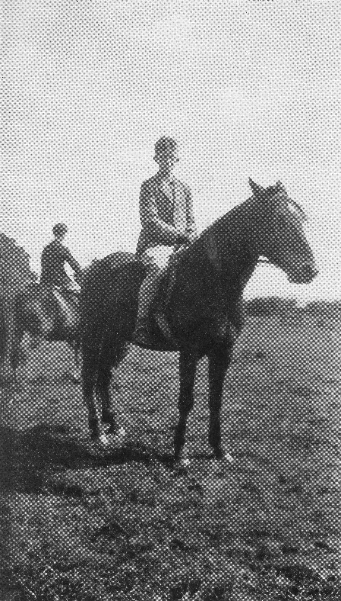 Marjorie Mary Oliver and Eva Ducat: The Ponies of Bunts (paperback)