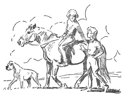 Diana Pullein-Thompson: Horses at Home and Friends Must Part (paperback)