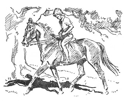 Diana Pullein-Thompson: Horses at Home and Friends Must Part (paperback)